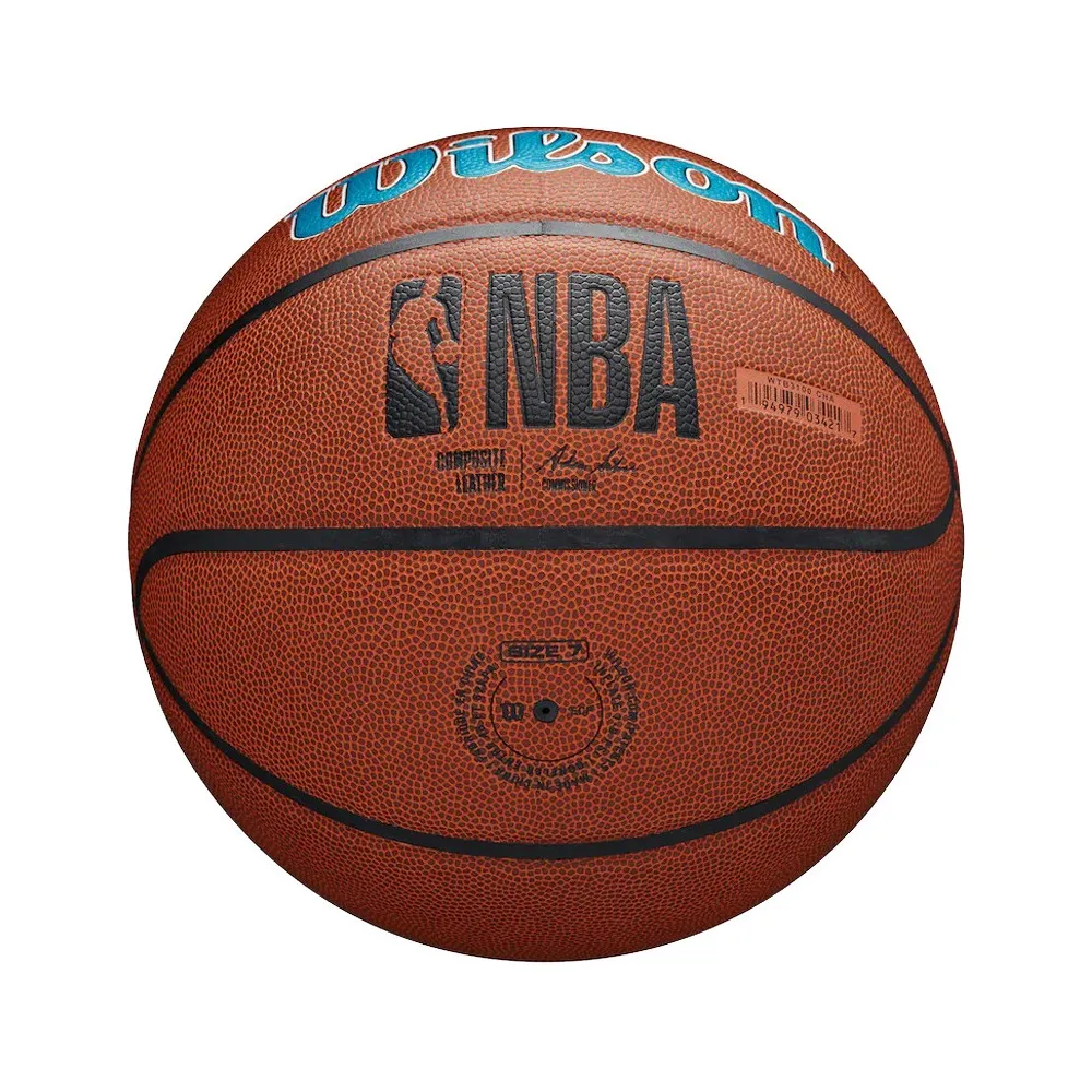 Balón Wilson Charlotte Hornets NBA Team Alliance Basketball