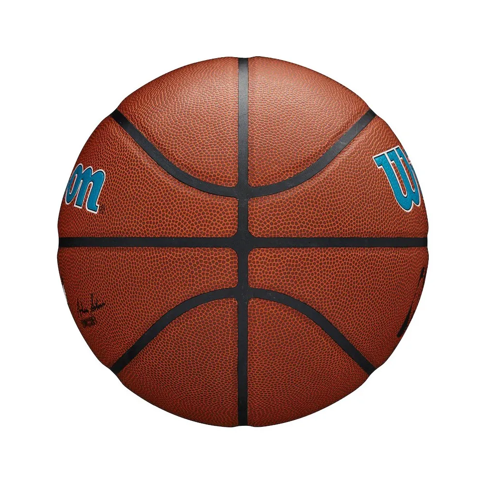 Balón Wilson Charlotte Hornets NBA Team Alliance Basketball