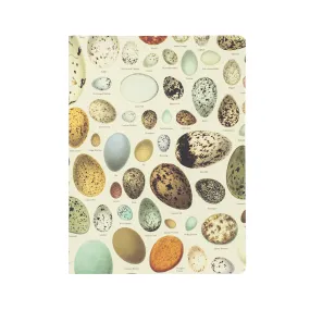 Eggs Softcover Notebook