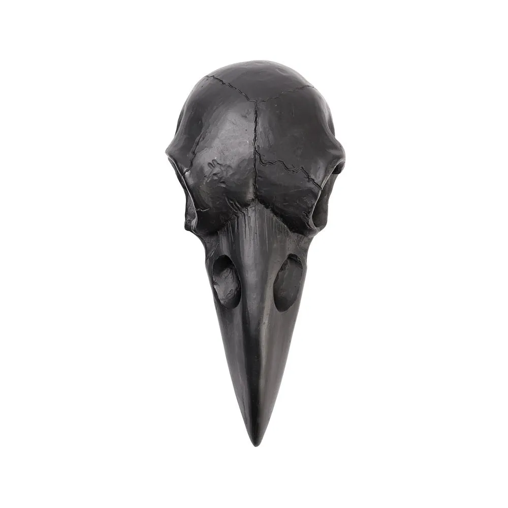 Raven Skull Hand Mirror